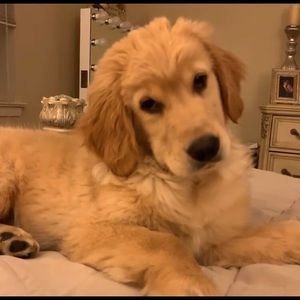 Meet your Posher, Jared